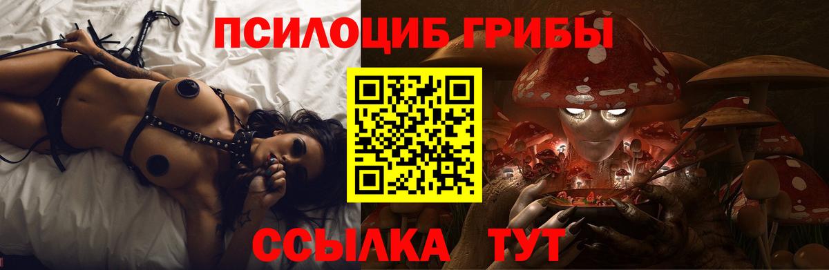 Псилоцибиновые грибы MAGIC MUSHROOMS  Вход с VPN  Псилоцибиновые грибы GOLDEN TEACHER  Куйбышев 